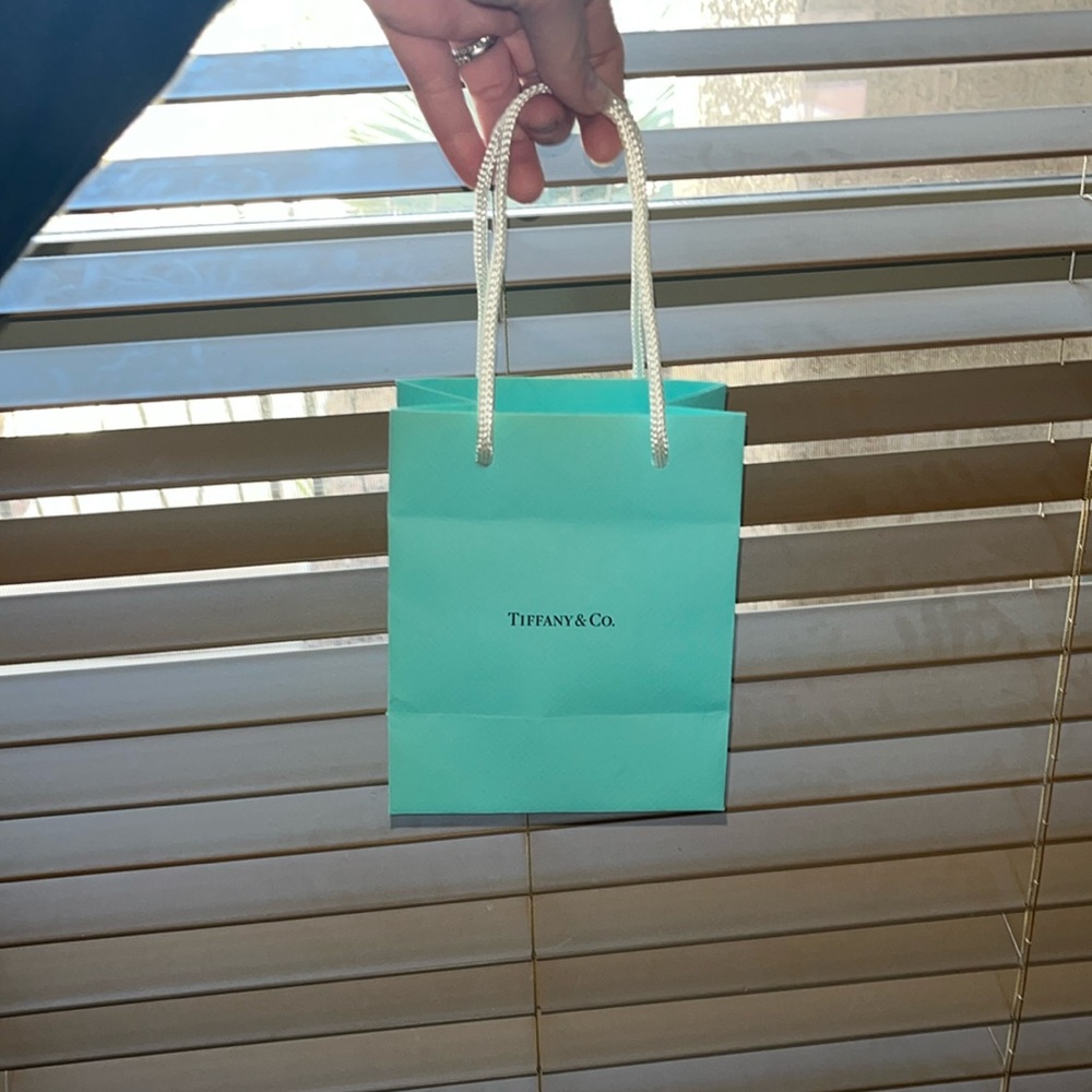 Tiffany & Co small shopping bag with white ribbon